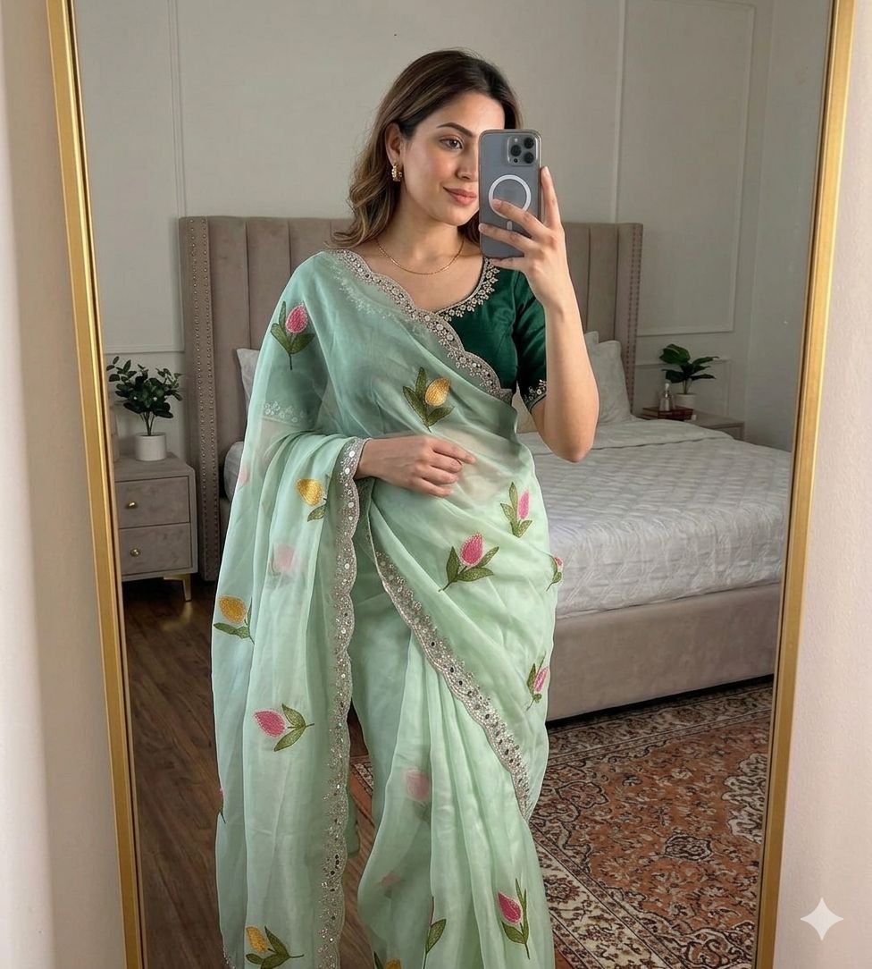 Mint Green Rangoli Silk Saree With Embroidery
