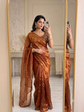 Orange Space Silk Sequence Worked Saree